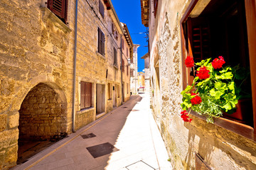 Fototapeta na wymiar Mediterranean stone street of Vodnjan view
