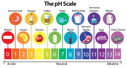 The Science pH Scale - obrazy, fototapety, plakaty