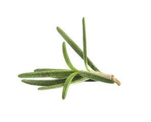 Rosemary isolated on white background