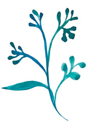 clipart plants and flowers, red roses, rose buds, green leaves, watercolor flowers, watercolor drawings