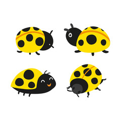 ladybug vector collection design