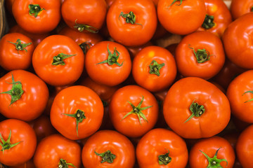 Red tomatoes, pomidoro in a basket on the counter in the market. 
