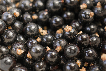 Background texture of dripping black cuurant.