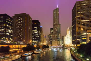 Fototapeta na wymiar Chicago skyline at night, Chicago, Illinois, USA.