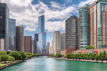 Fototapeta na wymiar Chicago Downtown and Chicago river at summertime, Illinois, USA.