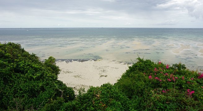 Nyali Images Browse 18 Stock Photos, Vectors, and Video Adobe Stock