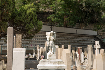 Cemetery in Hong Kong downtown on sunny day