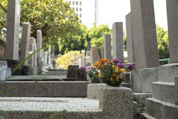 Cemetery in Hong Kong downtown on sunny day