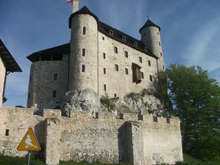 Fototapeta na wymiar zamek