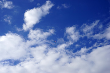 Fototapeta premium paragliding