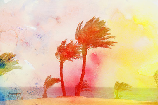 Photo of a beautiful retro background of a palm tree
