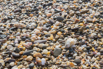 Sea stones on the seashore in the summer