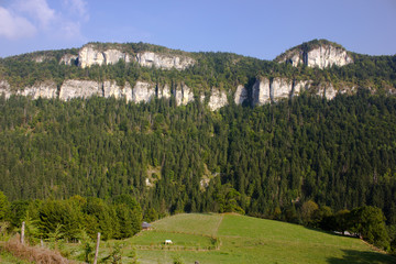 Hügelige grüne Hochtallandschaft im Westen der französischen Alpen