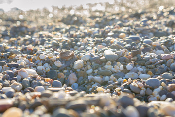 Sea stones on the seashore in the summer