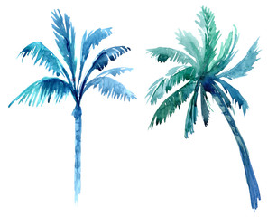 Palm trees. Watercolor illustration © aksol