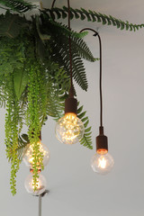 Four light bulbs hanging on the wooden ceilling.