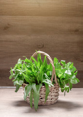 Bunches of herbs in the basket. Mint and plantain.