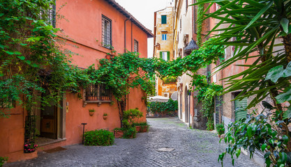 Fototapety  Przytulna ulica z roślinami w Trastevere, Rzym, Europa. Trastevere to romantyczna dzielnica Rzymu, wzdłuż Tybru w Rzymie. Atrakcja turystyczna Rzymu.