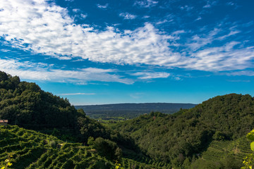 Fototapeta na wymiar beautiful landscape in the Prosecco hills