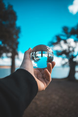 Fototapete bei efototapeten.de bestellen   