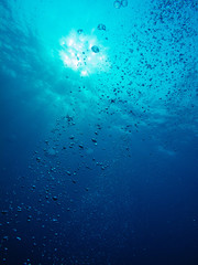 Fototapeta na wymiar Underwater view and bubble