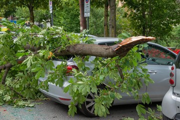 destroyed car