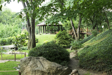 Fototapeta premium Japanese Garden