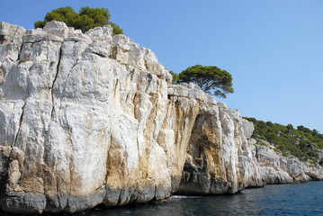 Calanques de Port-Pin vers Cassis, falaises et pins parasols, département des Bouches du Rhône, France