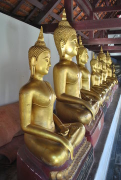 Gold Statue of buddha in temple Sukhothai North thailand