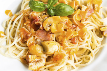 Spaghetti Milanese on a Plate