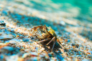 Sea reef and sea sand, beauty sea sand