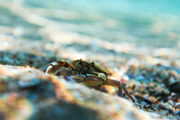 Sea reef and sea sand, beauty sea sand