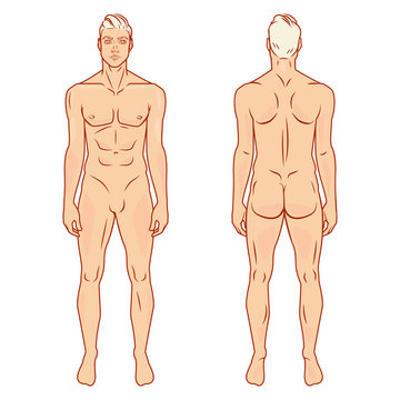 Man Full Body Front And Back View Template. Vector Illustration Set.