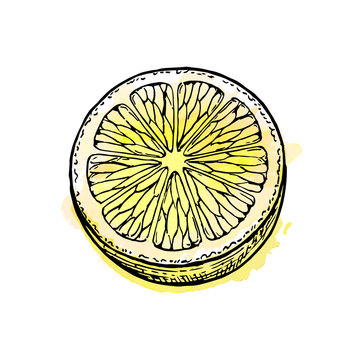 Sketch of lemon.
