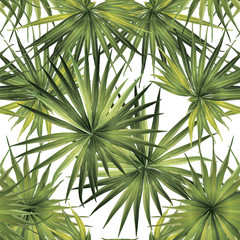 Obraz na płótnie Canvas Palm Monstera Exotic Seamless Pattern. 