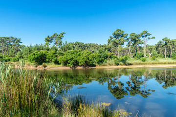 Bassin d'Arcachon (France), les réservoirs de Piraillan