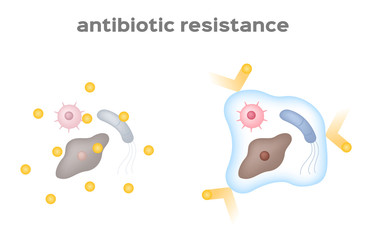antibiotic resistance bacteria and virus vector