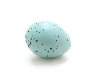 Single blue spotted egg.