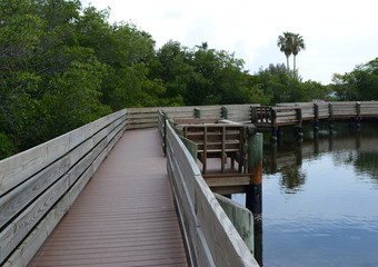 Obraz premium Bridge Path around the Water