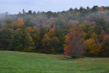 Fall day in the mountains of Virginia
