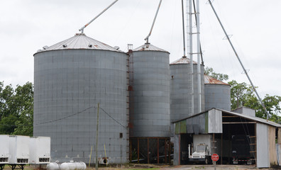 Grain Silos 