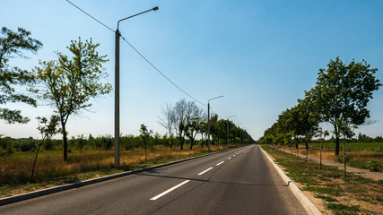 Fototapeta premium The road with white markings goes to the horizon