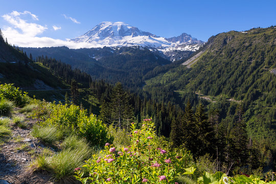 Mount Rainier from Scenic Viewpoint