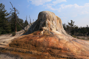 Upper Terrace, Mammoth Hot Springs, Yellowstone NP  © nikidel