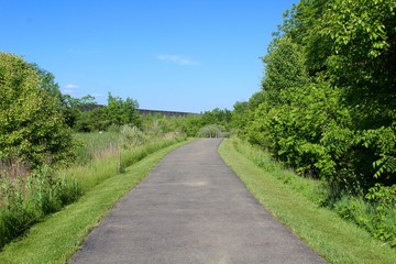 The long blacktop walkway in the park on a sunny day.
