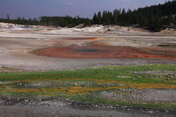 Fototapeta na wymiar Norris Geyser Basin, Yellowstone NP 