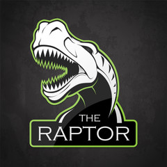 Head of raptor on a dark background