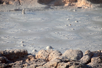 Norris Geyser Basin, Yellowstone NP 