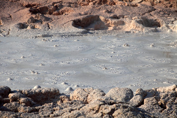 Norris Geyser Basin, Yellowstone NP 