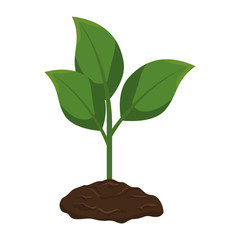 plant and ground ecology vector illustration design